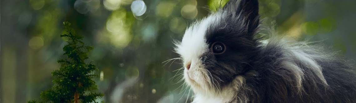 [paste advice page name here]